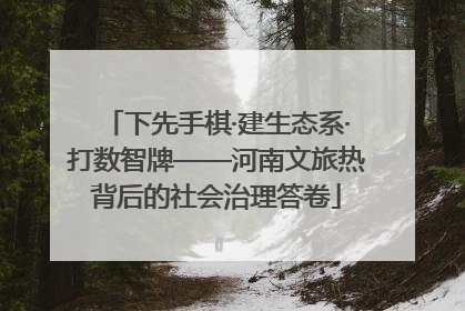 下先手棋·建生态系·打数智牌——河南文旅热背后的社会治理答卷
