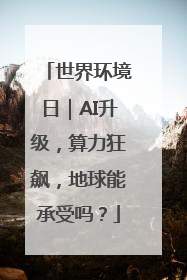世界环境日｜AI升级，算力狂飙，地球能承受吗？
