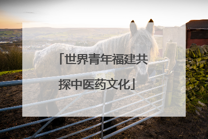 世界青年福建共探中医药文化