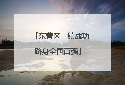 东营区一镇成功跻身全国百强