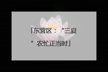东营区：“三夏”农忙正当时
