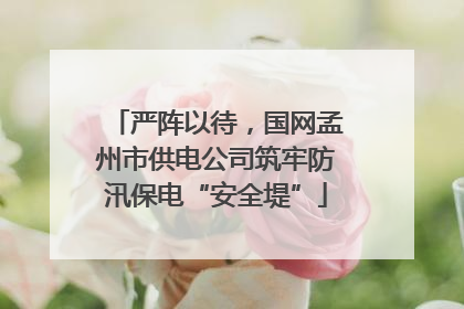 严阵以待，国网孟州市供电公司筑牢防汛保电“安全堤”