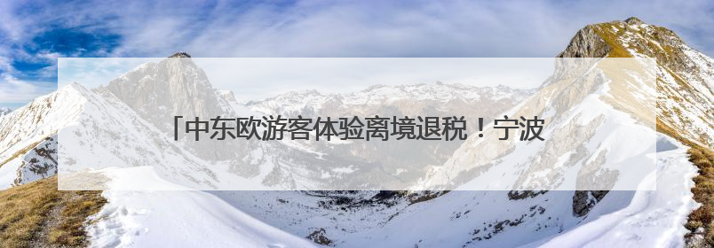 中东欧游客体验离境退税！宁波开出离境退税“即买即退”首单