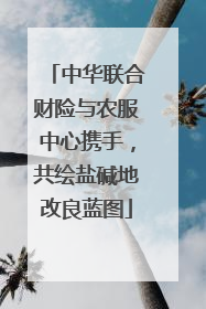 中华联合财险与农服中心携手，共绘盐碱地改良蓝图