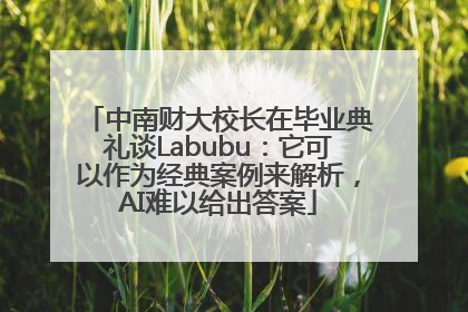 中南财大校长在毕业典礼谈Labubu：它可以作为经典案例来解析，AI难以给出答案