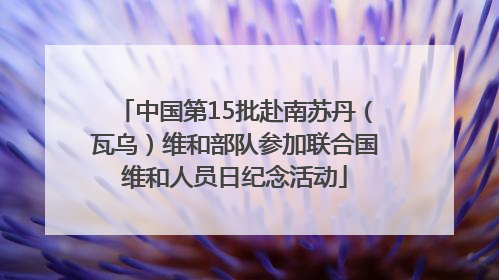 中国第15批赴南苏丹（瓦乌）维和部队参加联合国维和人员日纪念活动