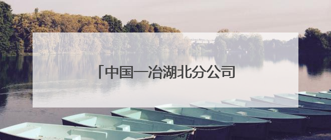 中国一冶湖北分公司信阳步行街项目开展全国安全咨询日活动