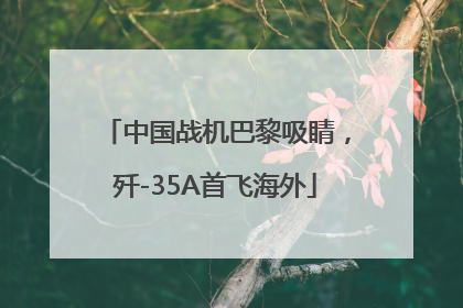 中国战机巴黎吸睛，歼-35A首飞海外