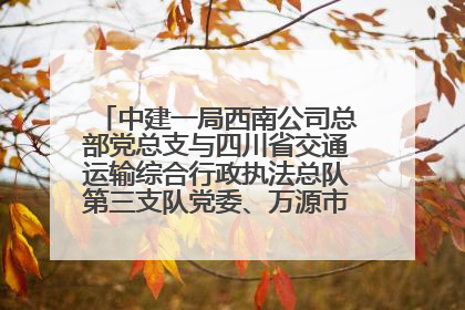 中建一局西南公司总部党总支与四川省交通运输综合行政执法总队第三支队党委、万源市草坝镇莲花院村党支部开展党建联建