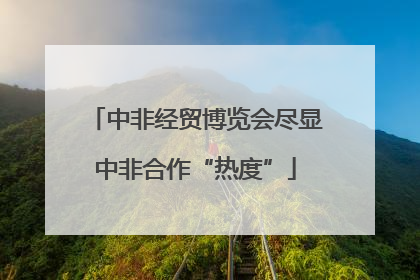 中非经贸博览会尽显中非合作“热度”