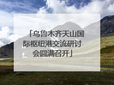 乌鲁木齐天山国际枢纽港交流研讨会圆满召开