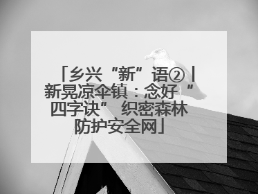乡兴“新”语②丨新晃凉伞镇：念好“四字诀” 织密森林防护安全网