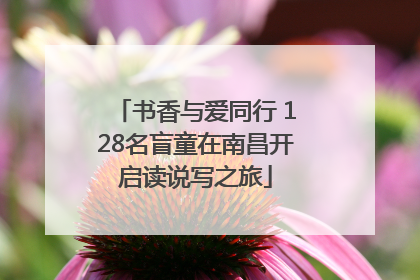 书香与爱同行 128名盲童在南昌开启读说写之旅