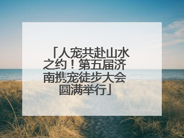 人宠共赴山水之约！第五届济南携宠徒步大会圆满举行