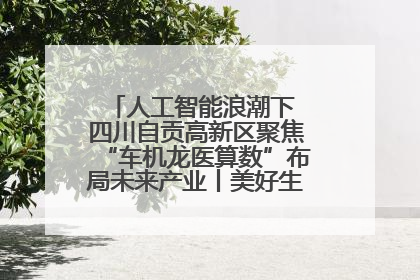 人工智能浪潮下 四川自贡高新区聚焦“车机龙医算数”布局未来产业丨美好生活有“盐”味