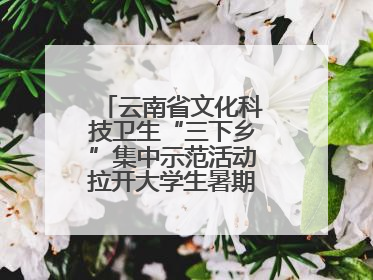 云南省文化科技卫生“三下乡”集中示范活动拉开大学生暑期“三下乡”社会实践活动序幕