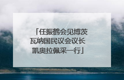 任振鹤会见博茨瓦纳国民议会议长凯奥拉佩采一行