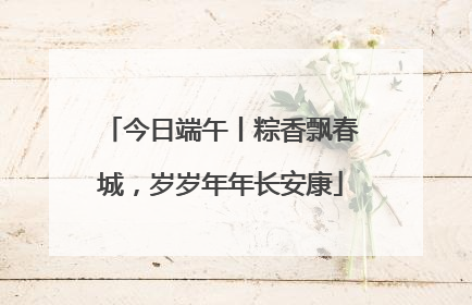 今日端午丨粽香飘春城，岁岁年年长安康