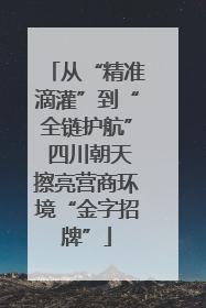 从“精准滴灌”到“全链护航” 四川朝天擦亮营商环境“金字招牌”