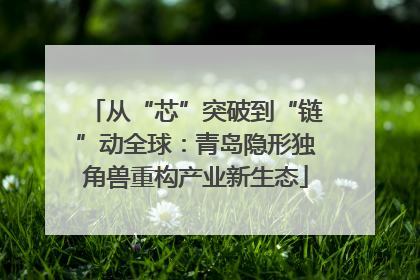 从“芯”突破到“链”动全球：青岛隐形独角兽重构产业新生态