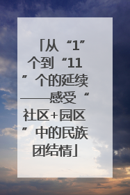 从“1”个到“11”个的延续——感受“社区+园区”中的民族团结情
