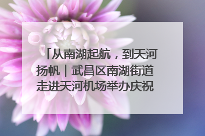 从南湖起航，到天河扬帆｜武昌区南湖街道走进天河机场举办庆祝建党104周年活动