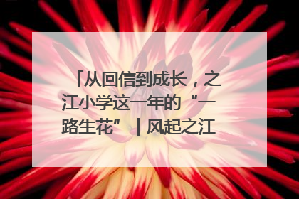 从回信到成长，之江小学这一年的“一路生花”｜风起之江 扶摇直上