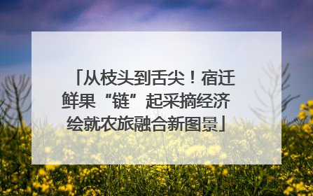从枝头到舌尖！宿迁鲜果“链”起采摘经济绘就农旅融合新图景