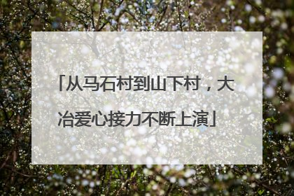 从马石村到山下村，大冶爱心接力不断上演