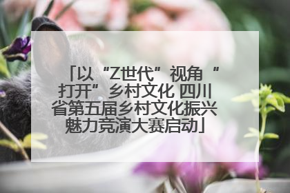 以“Z世代”视角“打开”乡村文化 四川省第五届乡村文化振兴魅力竞演大赛启动
