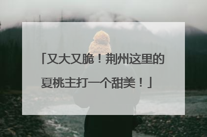 又大又脆！荆州这里的夏桃主打一个甜美！