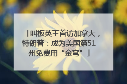 叫板英王首访加拿大，特朗普：成为美国第51州免费用“金穹”