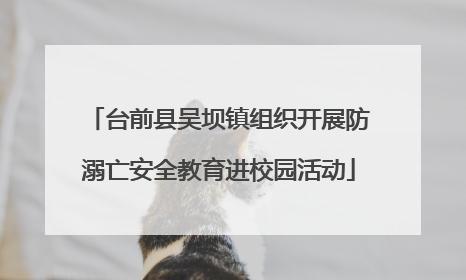 台前县吴坝镇组织开展防溺亡安全教育进校园活动