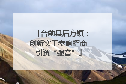台前县后方镇：创新实干奏响招商引资“强音”