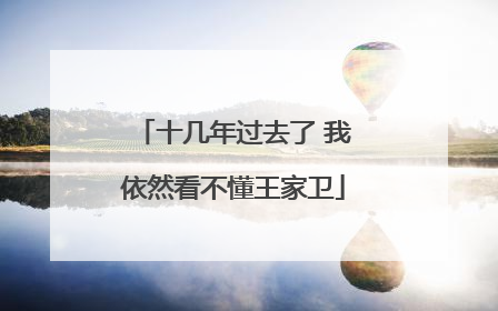 十几年过去了 我依然看不懂王家卫