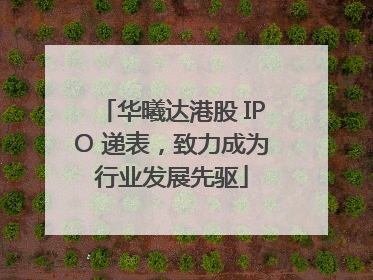 华曦达港股 IPO 递表，致力成为行业发展先驱