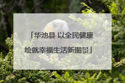 华池县 以全民健康绘就幸福生活新图景