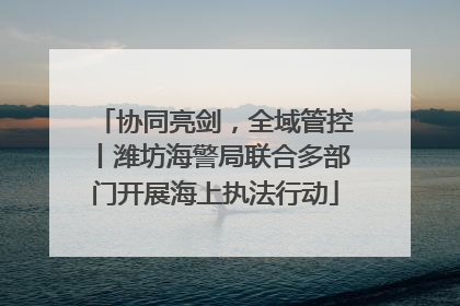 协同亮剑，全域管控丨潍坊海警局联合多部门开展海上执法行动