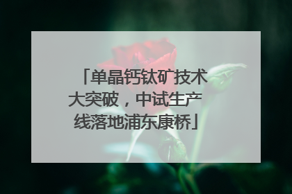 单晶钙钛矿技术大突破，中试生产线落地浦东康桥