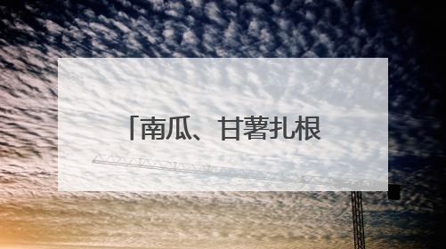 南瓜、甘薯扎根，低产丘陵地变身致富“聚宝盆”
