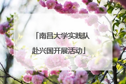 南昌大学实践队赴兴国开展活动