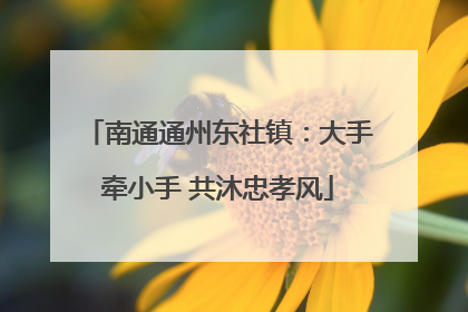 南通通州东社镇：大手牵小手 共沐忠孝风