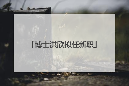 博士洪欣拟任新职