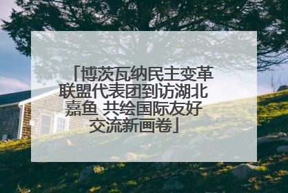 博茨瓦纳民主变革联盟代表团到访湖北嘉鱼 共绘国际友好交流新画卷