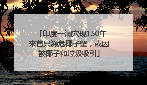 印度一洞穴现150年来首只濒危椰子蟹，或因被椰子和垃圾吸引