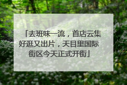 去班味一流，首店云集好逛又出片，天目里国际街区今天正式开街