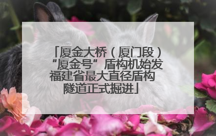 厦金大桥（厦门段）“厦金号”盾构机始发 福建省最大直径盾构隧道正式掘进