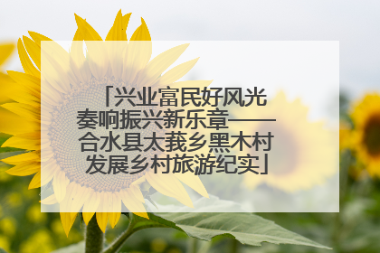 兴业富民好风光 奏响振兴新乐章——合水县太莪乡黑木村发展乡村旅游纪实