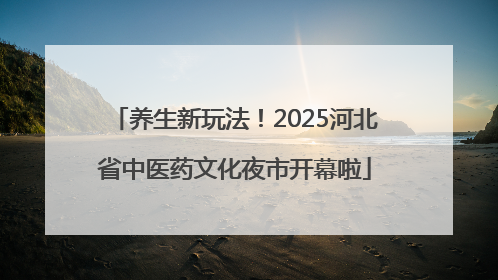 养生新玩法！2025河北省中医药文化夜市开幕啦