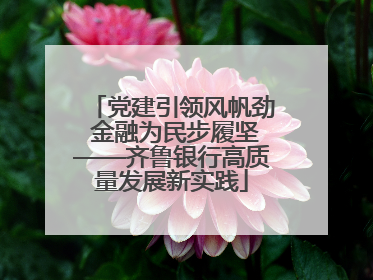 党建引领风帆劲 金融为民步履坚——齐鲁银行高质量发展新实践